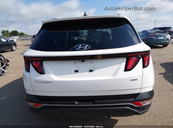 5NMJBCDE3RH388814 2024 HYUNDAI TUCSON White 