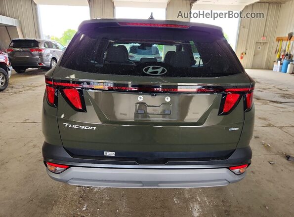 5NMJBCDE6SH519790 2025 HYUNDAI TUCSON Green უკანა ხედი