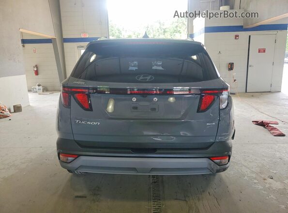 5NMJBCDE6SH551784 2025 HYUNDAI TUCSON Gray Rear view