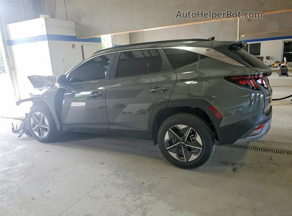 5NMJBCDE6SH551784 2025 HYUNDAI TUCSON Gray Rear left
