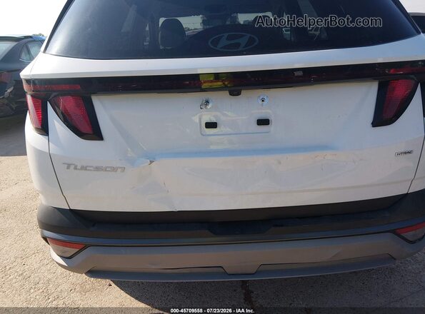 5NMJBCDE6TH632267 2026 HYUNDAI TUCSON White Front view