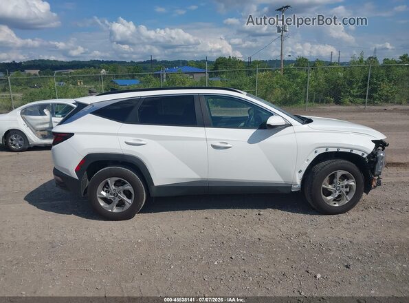 5NMJBCDE7RH381011 2024 HYUNDAI TUCSON White 360 interior view