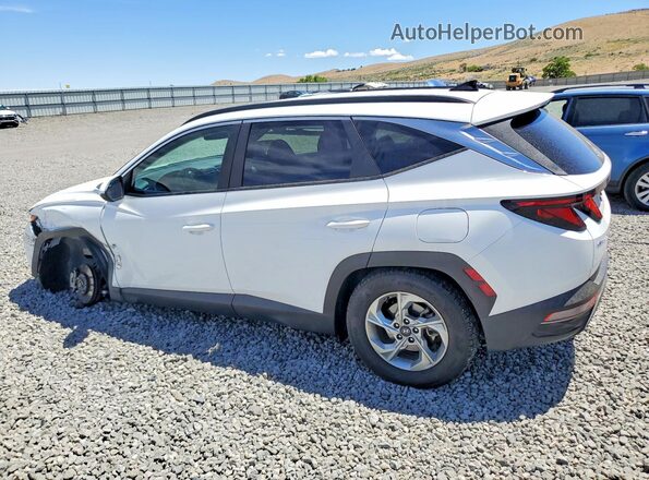 5NMJBCDEXRH384825 2024 HYUNDAI TUCSON White Rear left