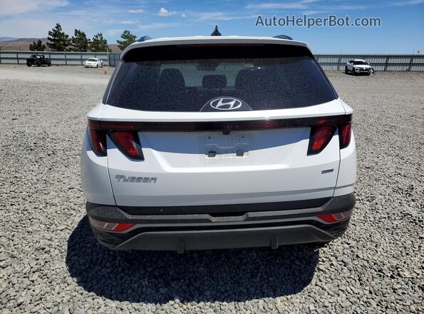 5NMJBCDEXRH384825 2024 HYUNDAI TUCSON White Rear view
