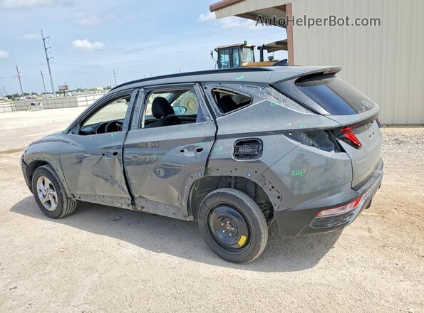 5NMJBCDEXRH391841 2024 HYUNDAI TUCSON Gray Հետևի ձախ