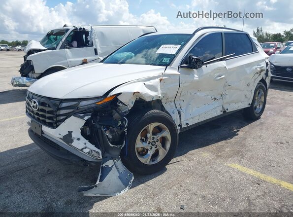 5NMJBCDEXRH428113 2024 HYUNDAI TUCSON White Передня ліва чверть