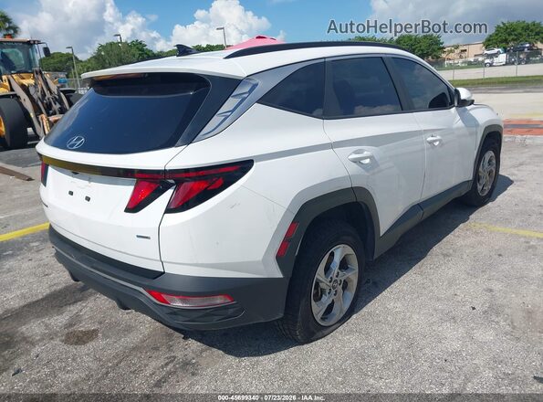 5NMJBCDEXRH428113 2024 HYUNDAI TUCSON White Задня права чверть