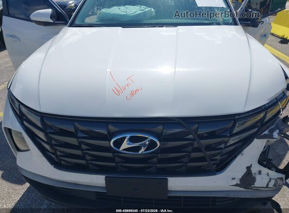5NMJBCDEXRH428113 2024 HYUNDAI TUCSON White Вид ззаду