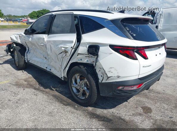 5NMJBCDEXRH428113 2024 HYUNDAI TUCSON White Задня ліва чверть