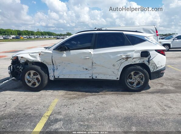 5NMJBCDEXRH428113 2024 HYUNDAI TUCSON White Панорамний вид салону 360°