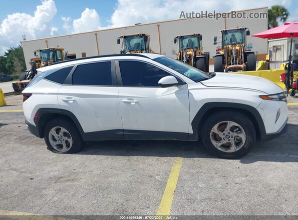 5NMJBCDEXRH428113 2024 HYUNDAI TUCSON White Вид задньої частини салону