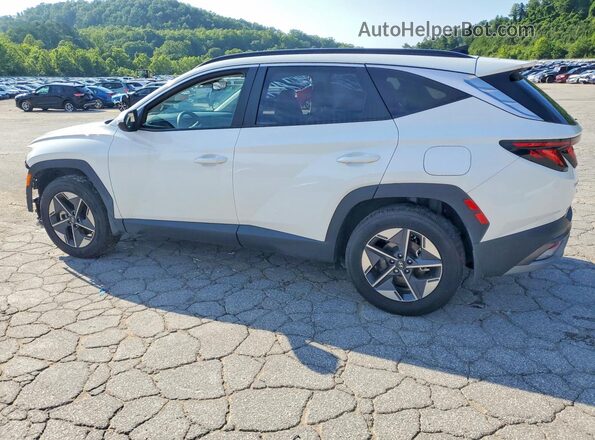 5NMJBCDEXSH600114 2025 HYUNDAI TUCSON White Задня ліва чверть