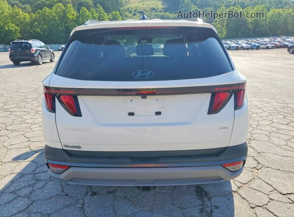 5NMJBCDEXSH600114 2025 HYUNDAI TUCSON White Вид ззаду