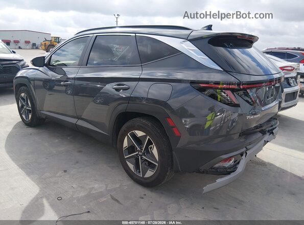 5NMJC3DE2SH586299 2025 HYUNDAI TUCSON Gray Tył lewy