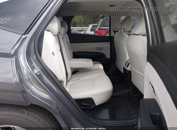 5NMJC3DE2SH586299 2025 HYUNDAI TUCSON Gray Widok naklejki z numerem VIN