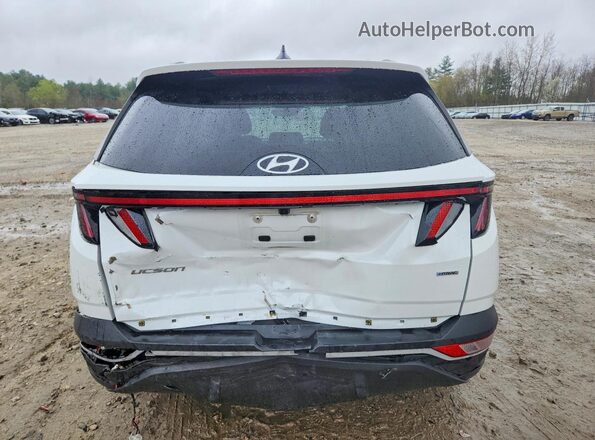 5NMJCCAE8NH016798 2022 HYUNDAI TUCSON White Вид ззаду