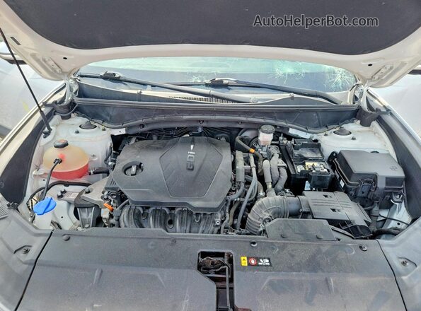 5NMJE3AE1NH016930 2022 HYUNDAI TUCSON Белый Вид задней части салона