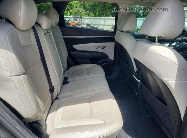 5NMJE3AE3NH103017 2022 HYUNDAI TUCSON Green Rear interior view