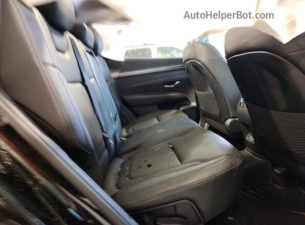 5NMJE3AE5PH291090 2023 HYUNDAI TUCSON Black Հետևի նստատեղերի տեսք