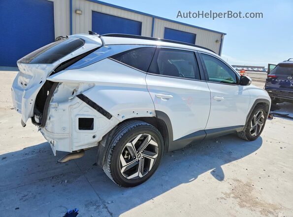 5NMJE3AE9PH209877 2023 HYUNDAI TUCSON White Հետևի աջ