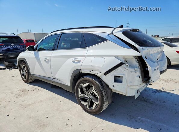 5NMJE3AE9PH209877 2023 HYUNDAI TUCSON White Հետևի ձախ