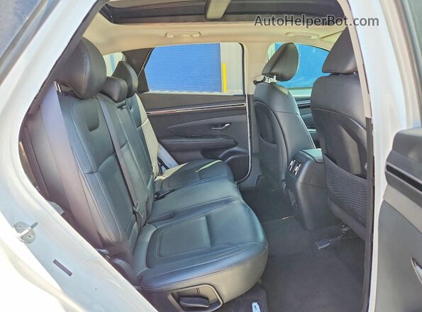 5NMJE3AE9PH209877 2023 HYUNDAI TUCSON White Սալոնի հետևի տեսք