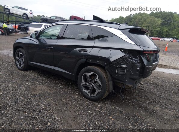 5NMJE3DE3RH357375 2024 HYUNDAI TUCSON Gray Հետևի ձախ