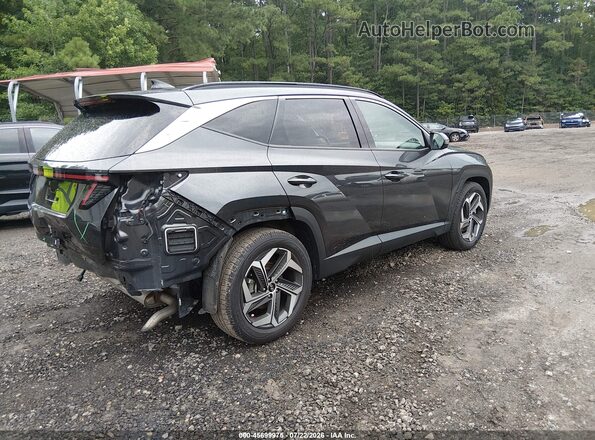 5NMJE3DE3RH357375 2024 HYUNDAI TUCSON Gray Հետևի աջ