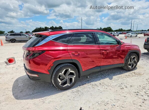 5NMJE3DEXRH408127 2024 HYUNDAI TUCSON Red Задня права чверть