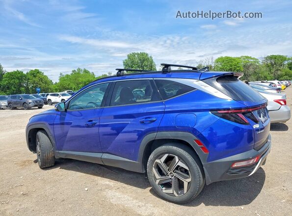 5NMJECAE0PH182004 2023 HYUNDAI TUCSON Синий Задняя левая четверть