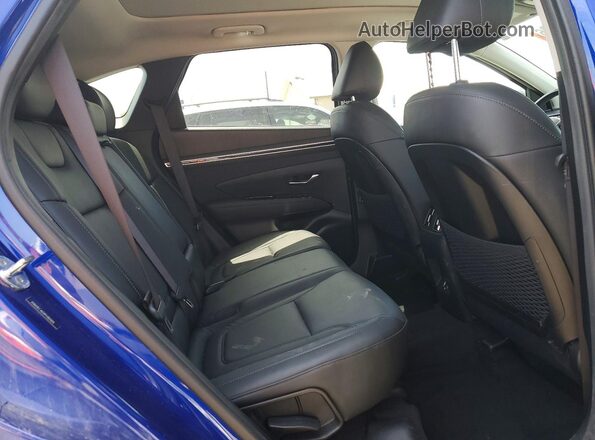 5NMJECAE0PH182004 2023 HYUNDAI TUCSON Синий Вид задней части салона
