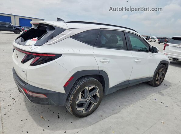 5NMJECAE1PH202132 2023 HYUNDAI TUCSON White Tył prawy