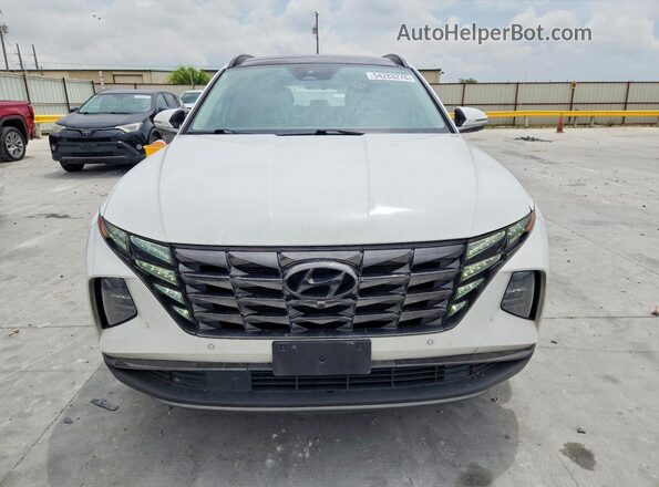 5NMJECAE1PH202132 2023 HYUNDAI TUCSON White Widok z przodu
