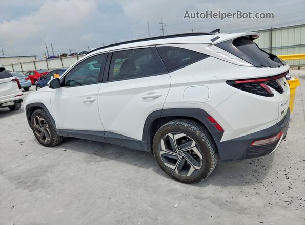 5NMJECAE1PH202132 2023 HYUNDAI TUCSON White Tył lewy