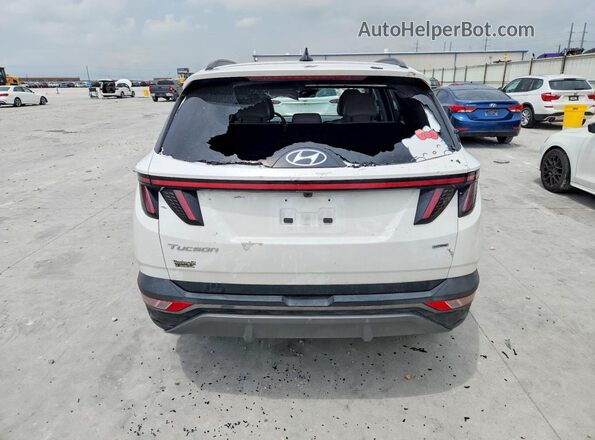 5NMJECAE1PH202132 2023 HYUNDAI TUCSON White Widok z tyłu