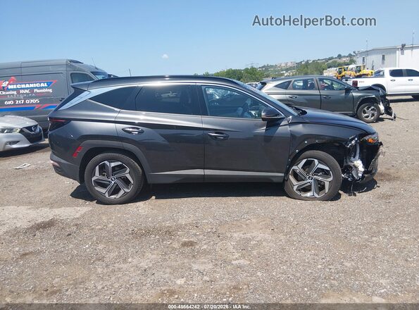 5NMJECAE2PH192582 2023 HYUNDAI TUCSON Gray Widok wnętrza z tyłu