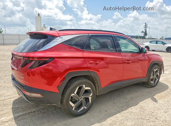 5NMJECAE3PH173135 2023 HYUNDAI TUCSON Red უკანა მარჯვენა