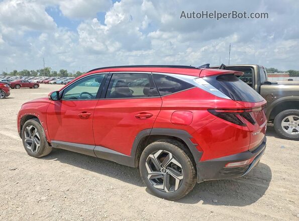 5NMJECAE3PH173135 2023 HYUNDAI TUCSON Red უკანა მარცხენა