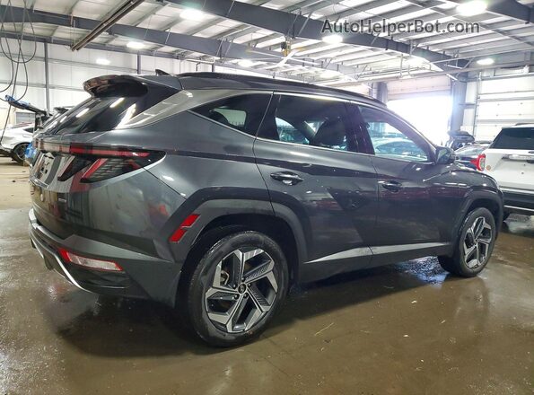 5NMJECAE3PH270772 2023 HYUNDAI TUCSON Charcoal Задня права чверть