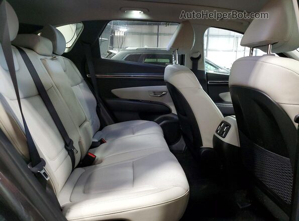 5NMJECAE3PH270772 2023 HYUNDAI TUCSON Charcoal Вид задньої частини салону