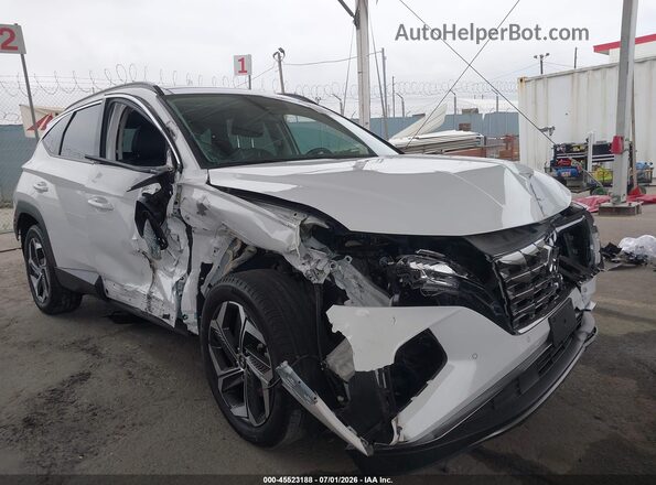 5NMJECAE4PH238705 2023 HYUNDAI TUCSON White Դիմացի տեսք