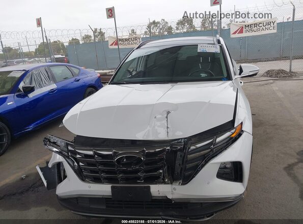 5NMJECAE4PH238705 2023 HYUNDAI TUCSON White Սալոնի հետևի տեսք