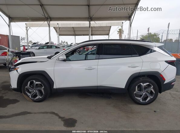 5NMJECAE4PH238705 2023 HYUNDAI TUCSON White 