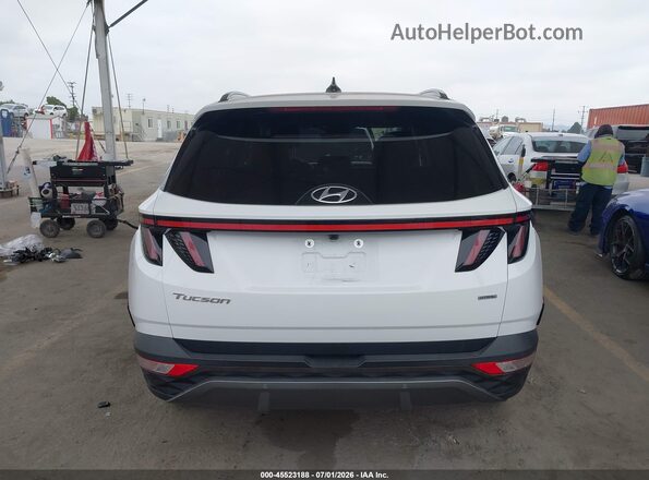 5NMJECAE4PH238705 2023 HYUNDAI TUCSON White 