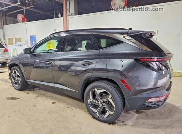 5NMJECAE5NH106002 2022 HYUNDAI TUCSON Blue Հետևի ձախ