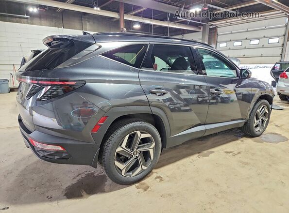5NMJECAE5NH106002 2022 HYUNDAI TUCSON Blue Հետևի աջ