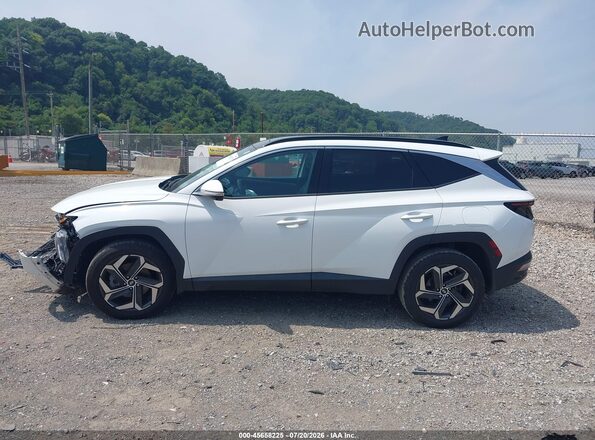 5NMJECAE5PH233805 2023 HYUNDAI TUCSON White Панорамний вид салону 360°