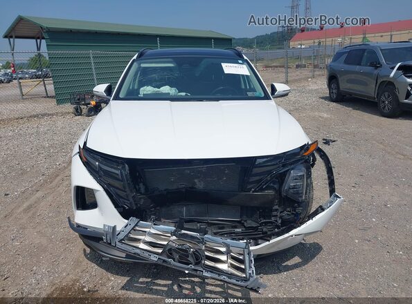 5NMJECAE5PH233805 2023 HYUNDAI TUCSON White Вид щитка приладів