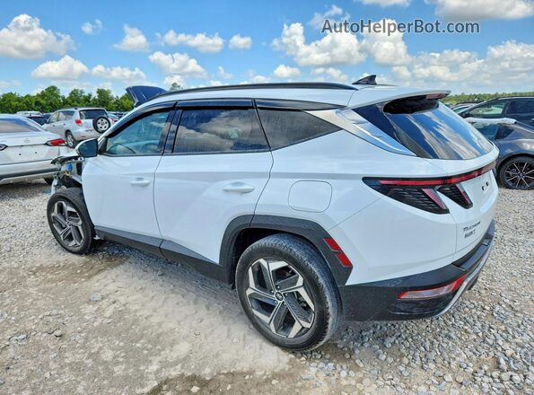 5NMJECAE8PH205643 2023 HYUNDAI TUCSON White Tył lewy