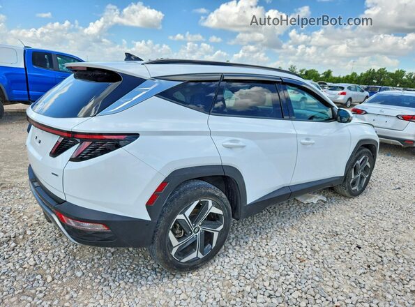 5NMJECAE8PH205643 2023 HYUNDAI TUCSON White Tył prawy